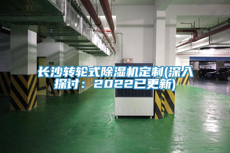 長(cháng)沙轉輪式除濕機定制(深入探討：2022已更新)