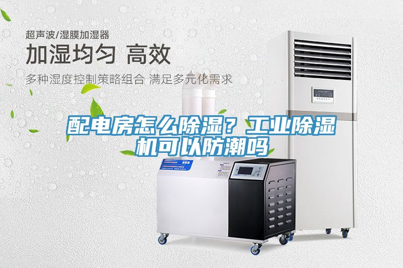 配電房怎么除濕？工業(yè)除濕機可以防潮嗎