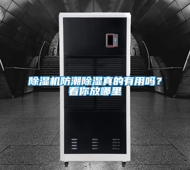 除濕機防潮除濕真的有用嗎？看你放哪里