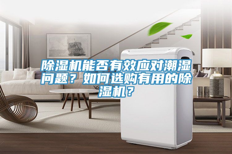 除濕機能否有效應對潮濕問(wèn)題？如何選購有用的除濕機？