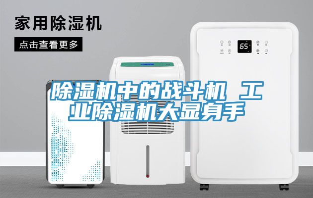 除濕機中的戰斗機 工業(yè)除濕機大顯身手