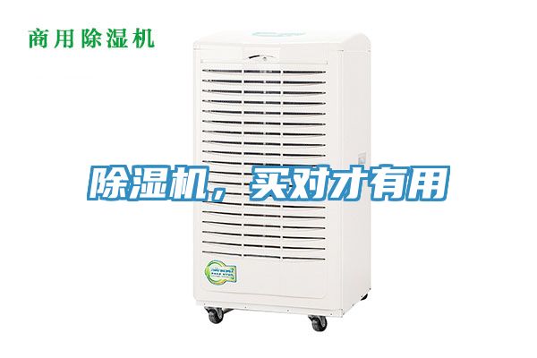 除濕機，買(mǎi)對才有用