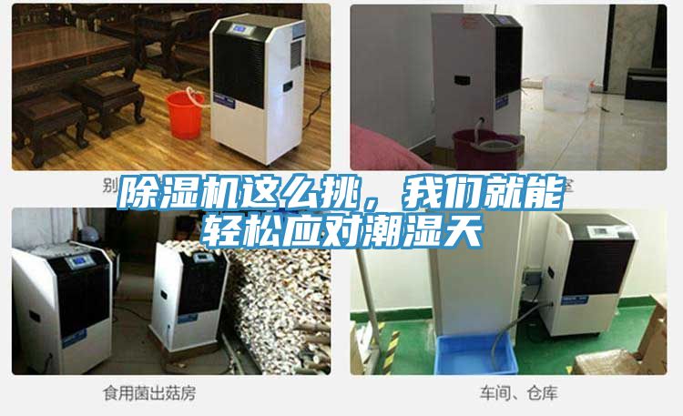 除濕機這么挑，我們就能輕松應對潮濕天