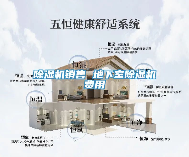 除濕機銷(xiāo)售 地下室除濕機費用
