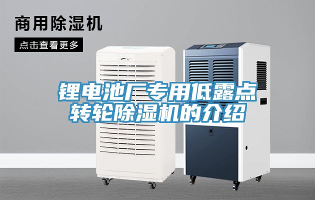 鋰電池廠(chǎng)專(zhuān)用低露點(diǎn)轉輪除濕機的介紹