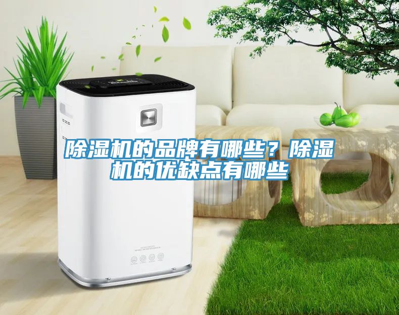 除濕機的品牌有哪些？除濕機的優(yōu)缺點(diǎn)有哪些