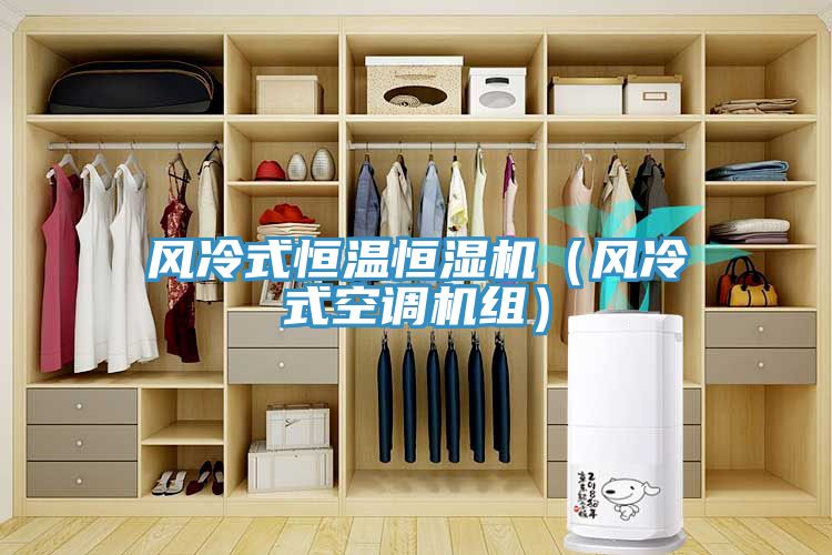 風(fēng)冷式恒溫恒濕機（風(fēng)冷式空調機組）