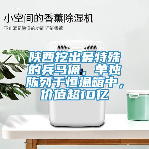 陜西挖出最特殊的兵馬俑，單獨陳列于恒溫箱中，價(jià)值超10億