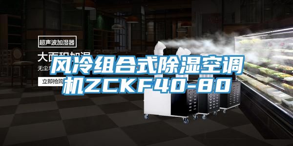 風(fēng)冷組合式除濕空調機ZCKF40-80