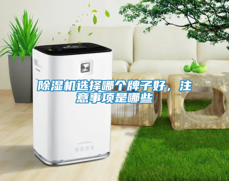 除濕機選擇哪個(gè)牌子好，注意事項是哪些