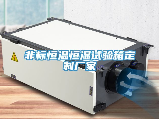 非標恒溫恒濕試驗箱定制廠(chǎng)家