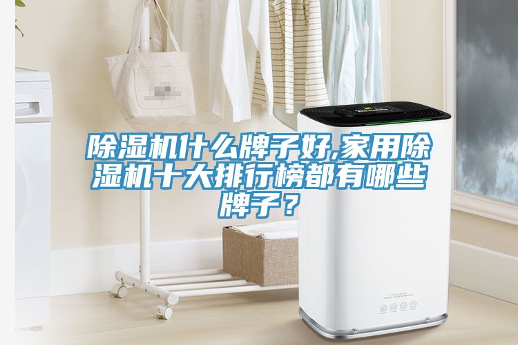 除濕機什么牌子好,家用除濕機十大排行榜都有哪些牌子？