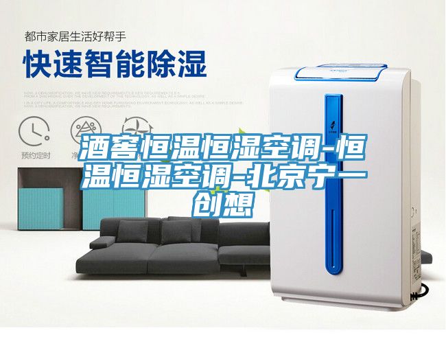 酒窖恒溫恒濕空調-恒溫恒濕空調-北京寧一創(chuàng  )想