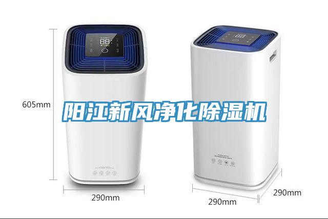 陽(yáng)江新風(fēng)凈化除濕機