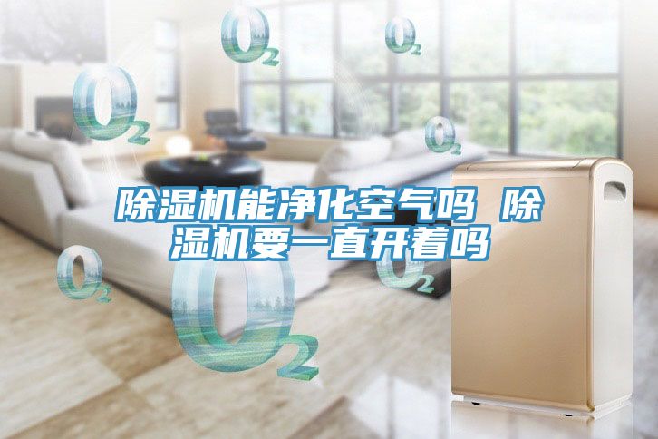除濕機能凈化空氣嗎 除濕機要一直開(kāi)著(zhù)嗎