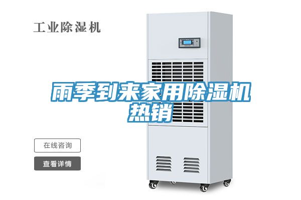 雨季到來(lái)家用除濕機熱銷(xiāo)