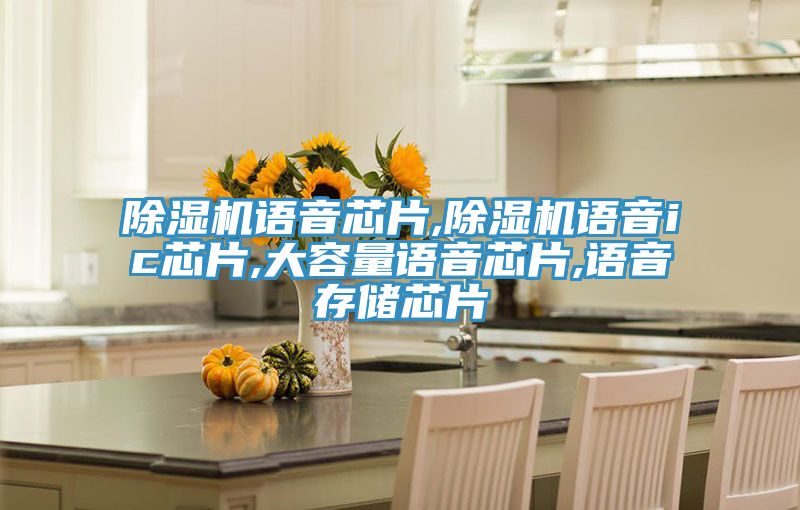 除濕機語(yǔ)音芯片,除濕機語(yǔ)音ic芯片,大容量語(yǔ)音芯片,語(yǔ)音存儲芯片