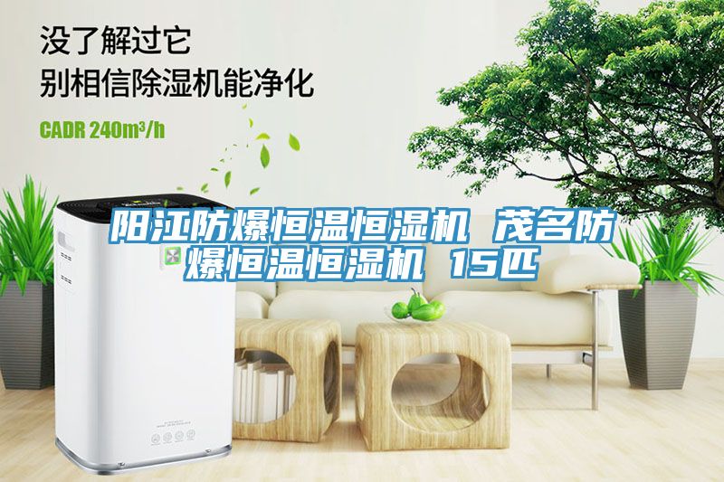 陽(yáng)江防爆恒溫恒濕機 茂名防爆恒溫恒濕機 15匹