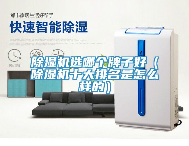 除濕機選哪個(gè)牌子好（除濕機十大排名是怎么樣的）