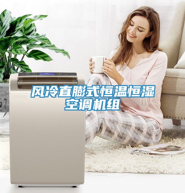 風(fēng)冷直膨式恒溫恒濕空調機組