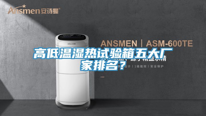 高低溫濕熱試驗箱五大廠(chǎng)家排名？