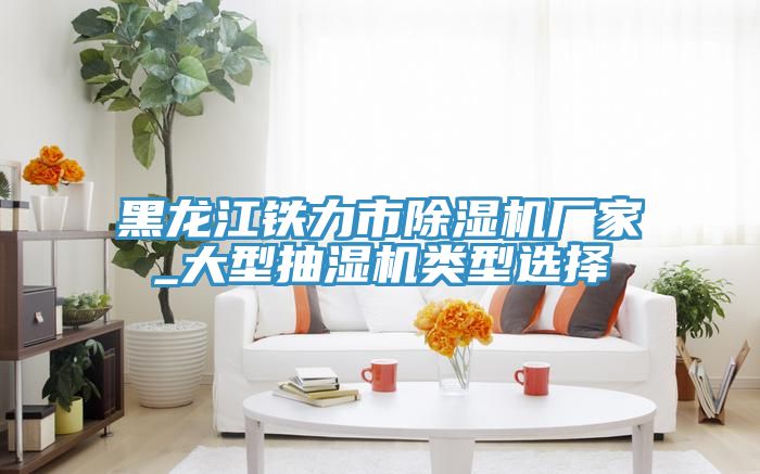 黑龍江鐵力市除濕機廠(chǎng)家_大型抽濕機類(lèi)型選擇