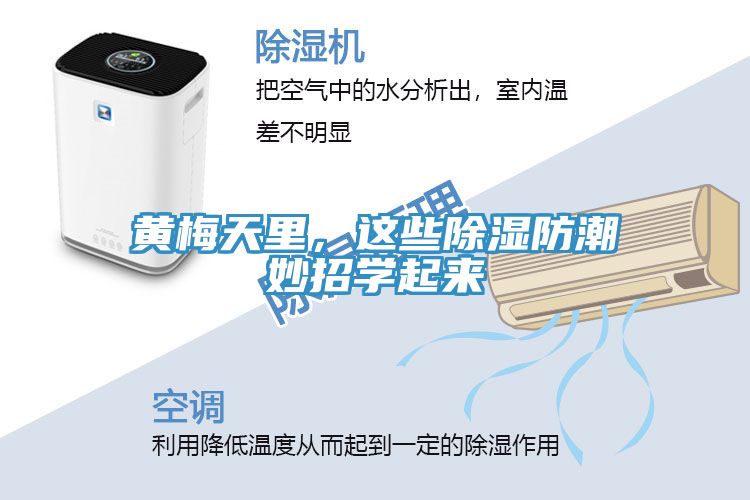 黃梅天里，這些除濕防潮妙招學(xué)起來(lái)