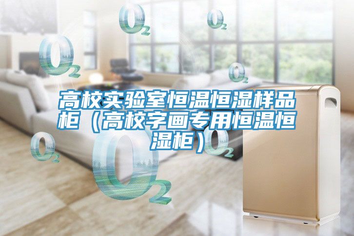 高校實(shí)驗室恒溫恒濕樣品柜（高校字畫(huà)專(zhuān)用恒溫恒濕柜）