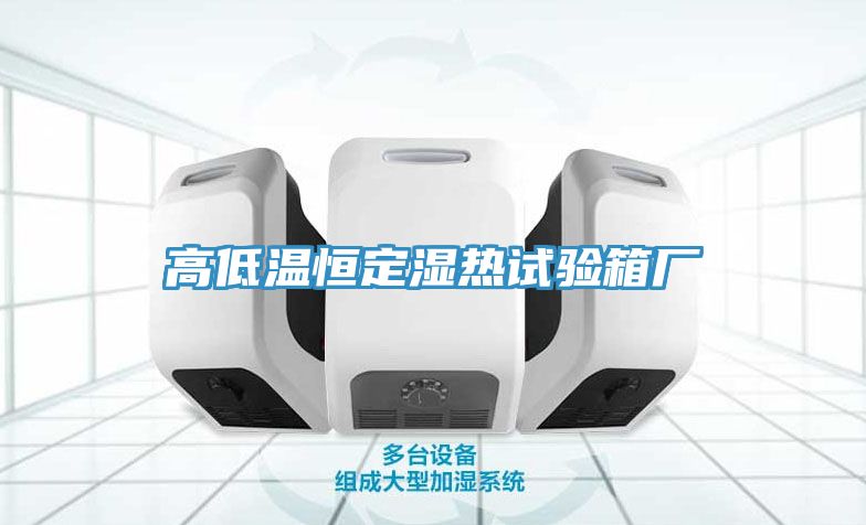 高低溫恒定濕熱試驗箱廠(chǎng)