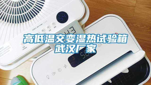高低溫交變濕熱試驗箱武漢廠(chǎng)家