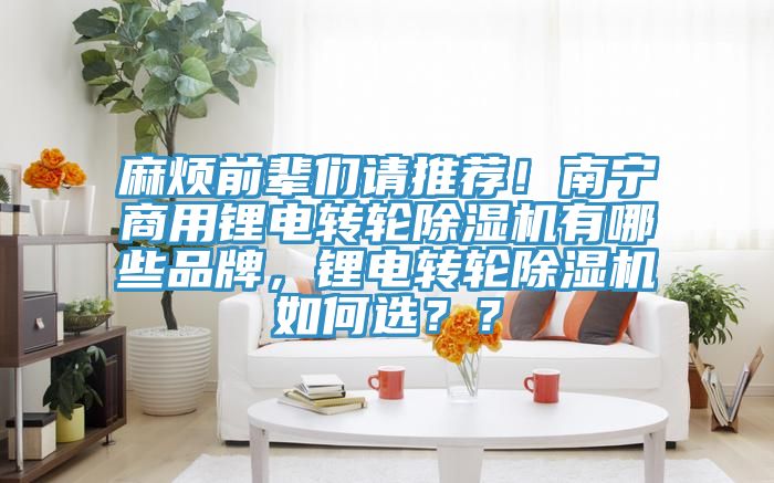 麻煩前輩們請推薦！南寧商用鋰電轉輪除濕機有哪些品牌，鋰電轉輪除濕機如何選？？