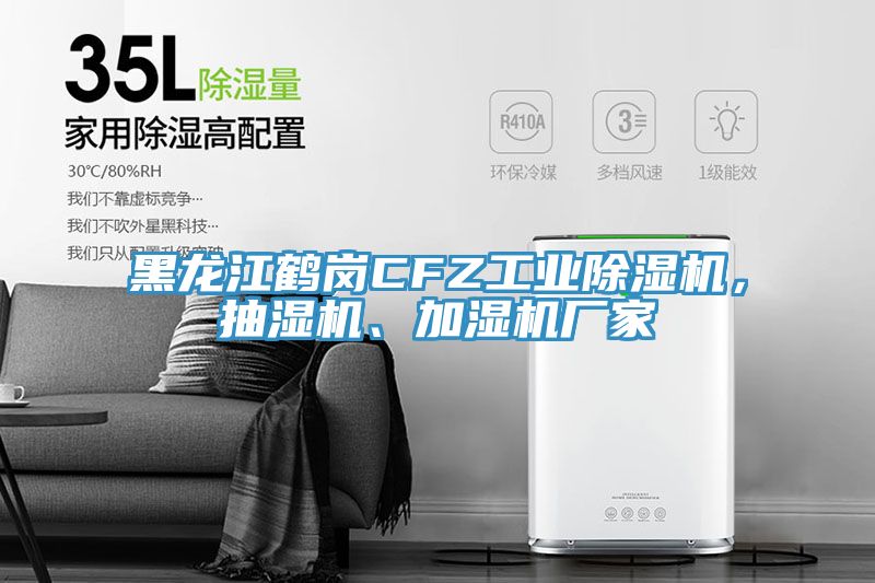 黑龍江鶴崗CFZ工業(yè)除濕機，抽濕機、加濕機廠(chǎng)家