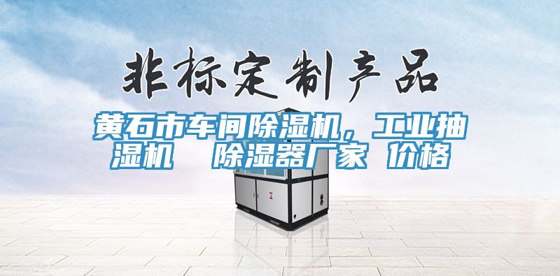 黃石市車(chē)間除濕機，工業(yè)抽濕機  除濕器廠(chǎng)家 價(jià)格