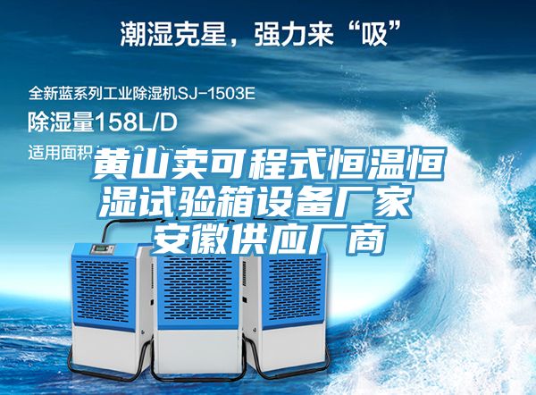 黃山賣(mài)可程式恒溫恒濕試驗箱設備廠(chǎng)家 安徽供應廠(chǎng)商