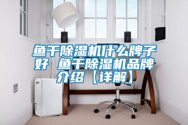 魚(yú)干除濕機什么牌子好 魚(yú)干除濕機品牌介紹【詳解】