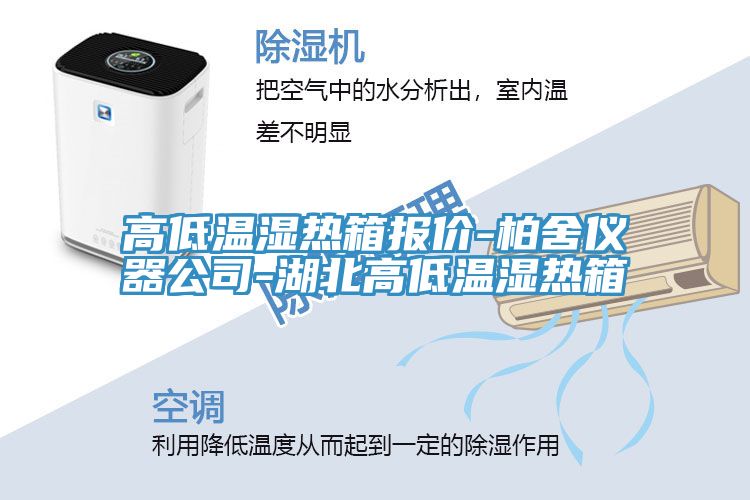 高低溫濕熱箱報價(jià)-柏舍儀器公司-湖北高低溫濕熱箱