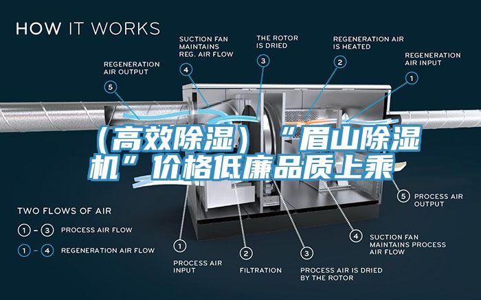 （高效除濕）“眉山除濕機”價(jià)格低廉品質(zhì)上乘