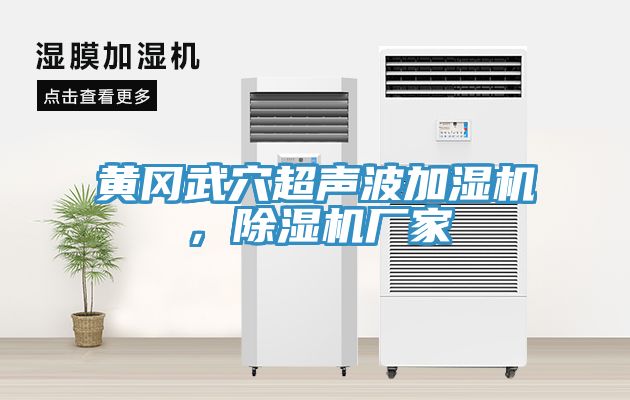 黃岡武穴超聲波加濕機，除濕機廠(chǎng)家