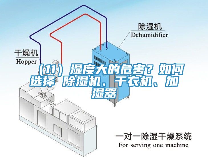 （11）濕度大的危害？如何選擇 除濕機、干衣機、加濕器