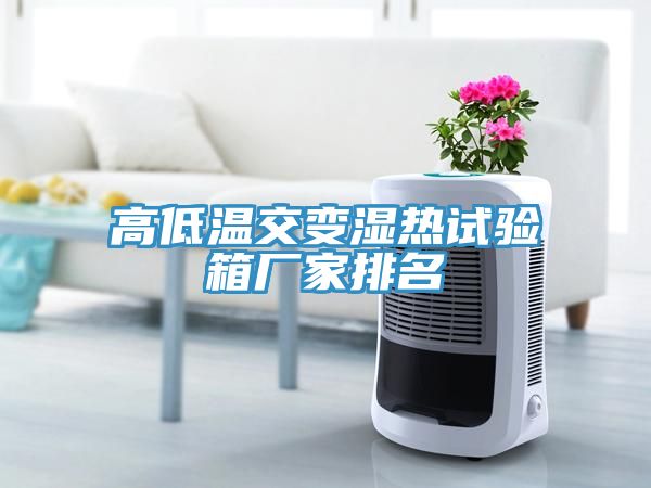高低溫交變濕熱試驗箱廠(chǎng)家排名