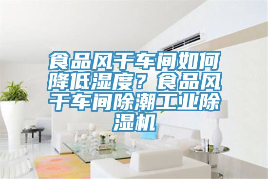 食品風(fēng)干車(chē)間如何降低濕度？食品風(fēng)干車(chē)間除潮工業(yè)除濕機