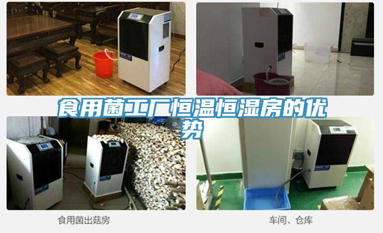 食用菌工廠(chǎng)恒溫恒濕房的優(yōu)勢