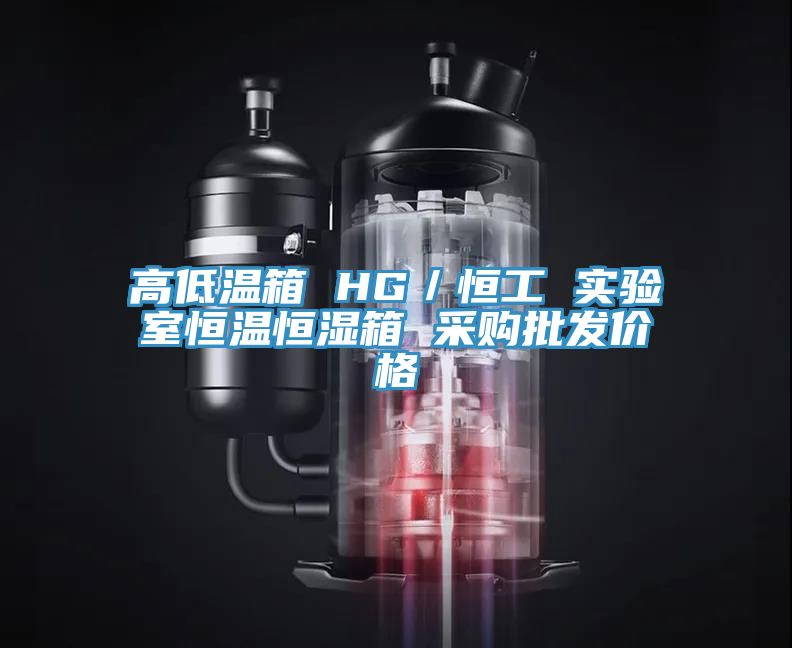 高低溫箱 HG／恒工 實(shí)驗室恒溫恒濕箱 采購批發(fā)價(jià)格