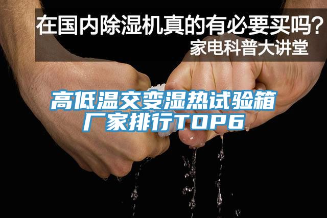 高低溫交變濕熱試驗箱廠(chǎng)家排行TOP6