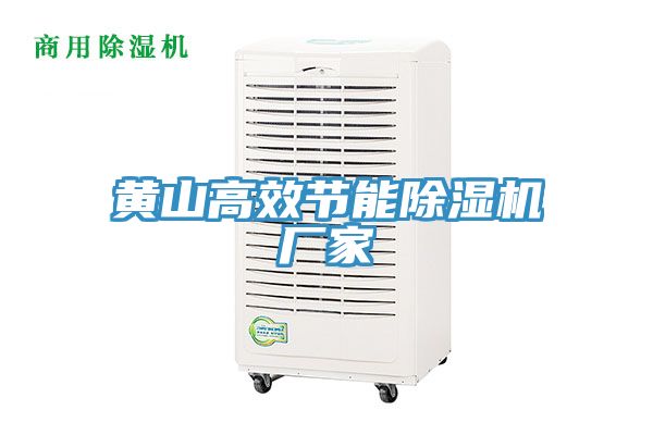黃山高效節能除濕機廠(chǎng)家