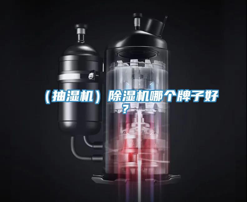 （抽濕機）除濕機哪個牌子好？