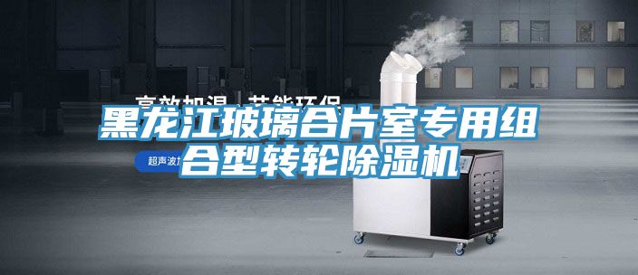 黑龍江玻璃合片室專(zhuān)用組合型轉輪除濕機