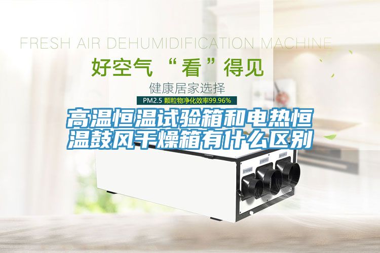 高溫恒溫試驗箱和電熱恒溫鼓風(fēng)干燥箱有什么區別