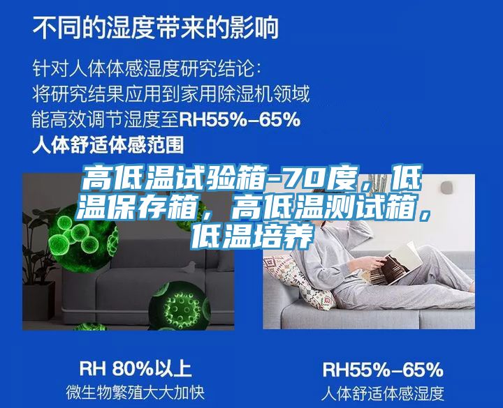 高低溫試驗箱-70度，低溫保存箱，高低溫測試箱，低溫培養