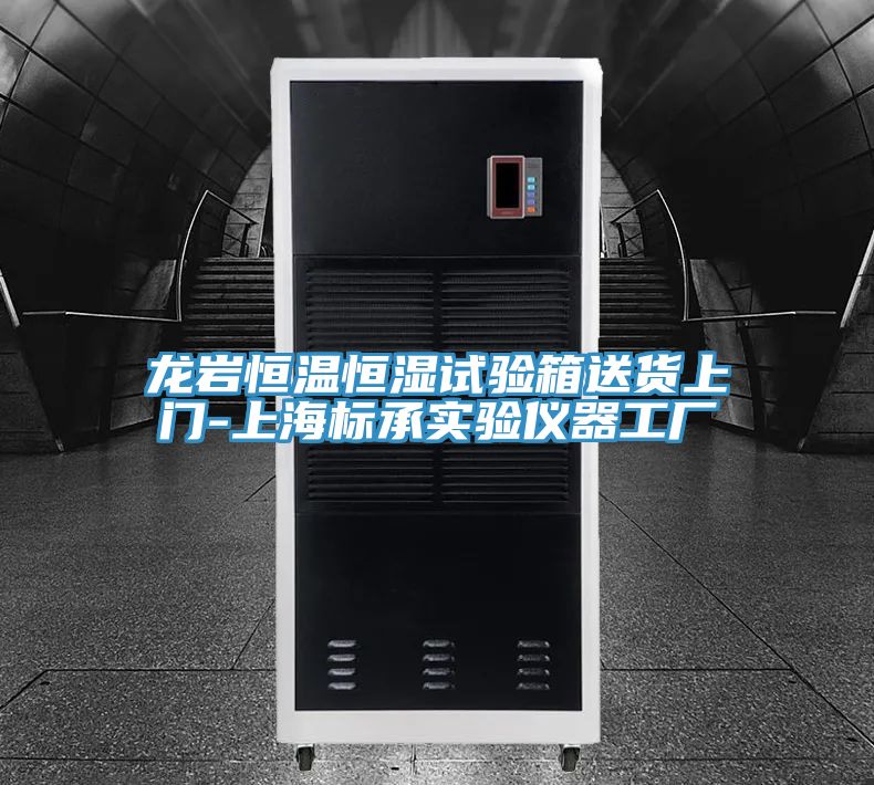 龍巖恒溫恒濕試驗箱送貨上門(mén)-上海標承實(shí)驗儀器工廠(chǎng)